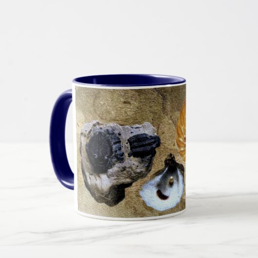 Tasse fossile (Devant gauche)