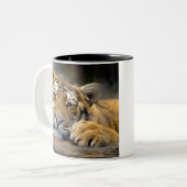 Tasse gauchère de tigre (Devant gauche)