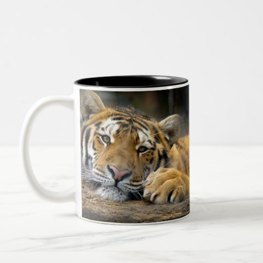 Tasse gauchère de tigre (Gauche)