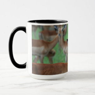 Tasse Gazelle