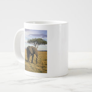 Tasse Géante Afrique, Kenya, Maasai Mara. Un éléphant dans le