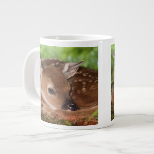 Tasse Géante Bébé de cerfs à queue blanche, Kentucky, âgé de de