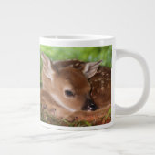 Tasse Géante Bébé de cerfs à queue blanche, Kentucky, âgé de de (Droite)