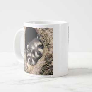 Tasse Géante Bébés ratons laveurs dans une cavité d'arbre Procy