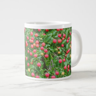 Tasse Géante Berries de Kousa Dogwood