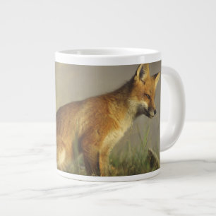 Tasse Géante Canada, Québec. Jeune renard roux au lever du sole