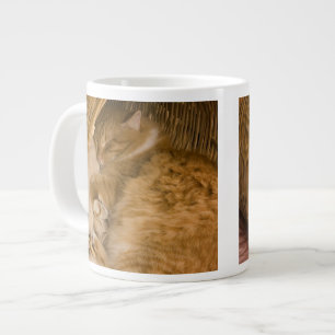 Tasse Géante Chat tigré orange dormant dans un panier