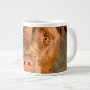 Tasse Géante Chocolat toxique Lab Pit Mix Chien