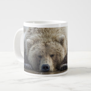 Tasse Géante États-Unis, Alaska, parc national de Katmai, Ours