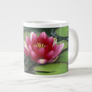 Tasse Géante États-Unis, État de Washington, Seattle. Nénuphar