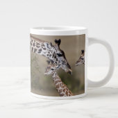 Tasse Géante Giraffe Masaï (Giraffe Tippelskirchi) (Droite)