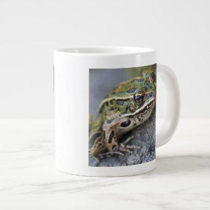 Tasse Géante Grenouille léopard du nord, Île transparente,