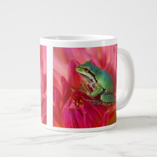 Tasse Géante Grenouille léopard sur des fleurs dans notre jardi