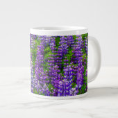Tasse Géante Islande. Vik i Myrdal. Champ de Lupines (Devant droit)