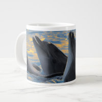 Les dauphins au nez de bouteille à la lumière du c