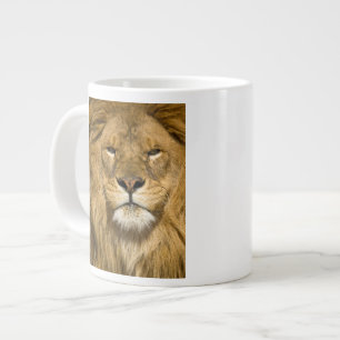 Tasse Géante Lion de Barbarie d'Afrique, Panthera leo leo, l'un