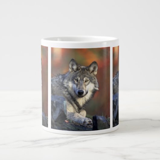 Tasse Géante loup sauvage (Devant)