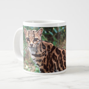 Tasse Géante Margay, Leopardus wiedi, Originaire du Mexique jus