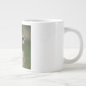 Tasse Géante Meerkat 004 (Droite)