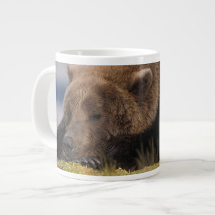 Tasse Géante Ours brun, grizzly, faisant une sieste, Katmai