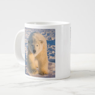 Tasse Géante ours polaire, Ursus maritimus, ours polaire sur gl