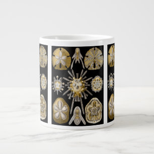 Tasse Géante Oursins Vintage Dollars de Sable par Ernst Haeckel