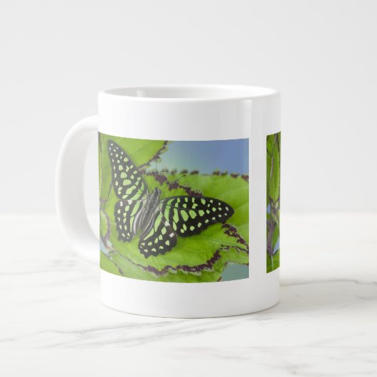 Tasse Géante Papillon sur fond vert (Devant gauche)