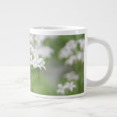 Tasse Géante Petite Fleur Blanche (Droite)