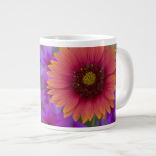 Tasse Géante Phlox et Indian Blanket près de Devine Texas
