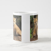 Tasse Géante Pup Red Fox devant den Vulpes vulpes) (Devant)