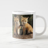 Tasse Géante Pup Red Fox devant den Vulpes vulpes) (Droite)