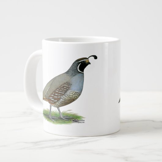 Tasse Géante Quail de la Californie (Devant gauche)