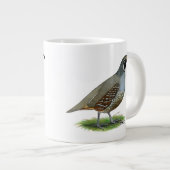 Tasse Géante Quail de la Californie (Devant droit)