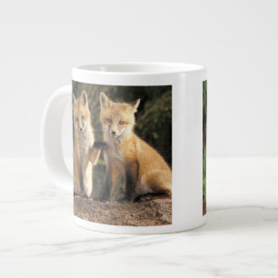 Tasse Géante Renardeau renard roux devant terrier (Vulpes vulpe