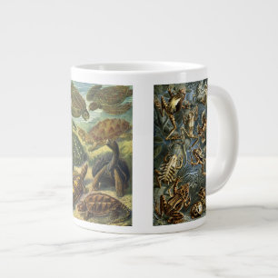 Tasse Géante Reptiles et Amphibiens Vintage par Ernst Haeckel