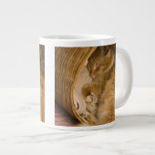 Tasse Géante Table orange dormant dans le hamper (Devant droit)