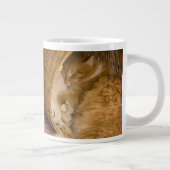 Tasse Géante Table orange dormant dans le hamper (Droite)