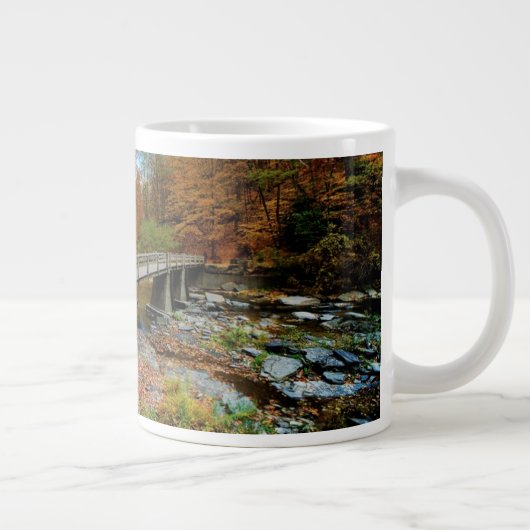 Tasse Géante Taughannock tombe parc d'état (Droite)