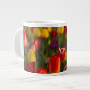 Tasse Géante Tulipes, Festival des Tulipes, Woodburn, Oregon, É