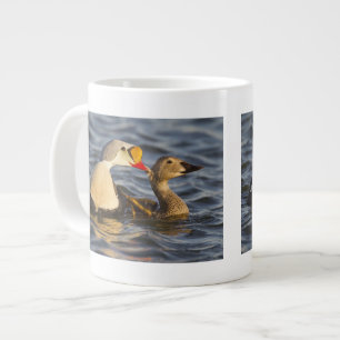 Tasse Géante Un couple d'eiders à tête grise en parade dans un