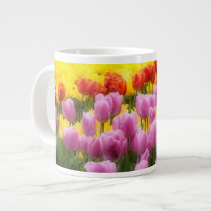 Tasse Géante WA, Skagit Valley, Roozengaarde Tulip Garden, 2