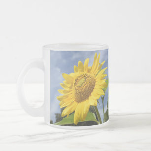 Tasse Givré 10 000 soleils