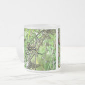 Tasse Givré Argiope trifasciata Orb Weaver Spider (Devant gauche)