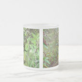 Tasse Givré Argiope trifasciata Orb Weaver Spider (Centre)