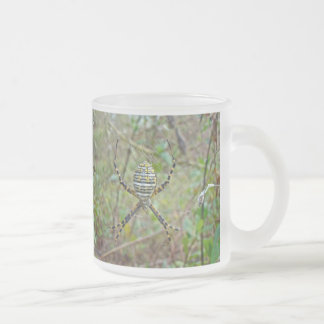 Tasse Givré Argiope trifasciata Orb Weaver Spider