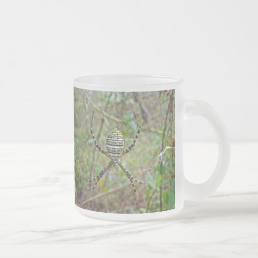 Tasse Givré Argiope trifasciata Orb Weaver Spider (Droit)