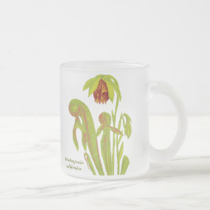 Tasse Givré Californica de Darlingtonia, plante carnivore