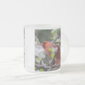 Tasse Givré Cardinal masculin au printemps (Devant droit)
