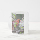 Tasse Givré Cardinal masculin au printemps (Devant gauche)