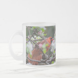 Tasse Givré Cardinal masculin au printemps